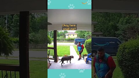 HE ALMOST RAN😱💀