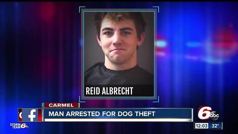 Police: 22-year-old stole popular Carmel bulldog named Gus