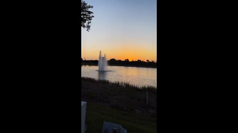 Sunrise in Southwest Florida - Livestream Clip
