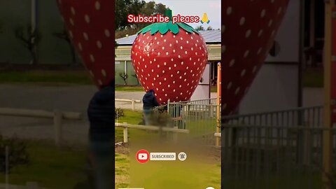 Giant Big Stobery 🍓 Found | Google Earth and Google maps #shorts#googleearth#scary #finduniqueworld