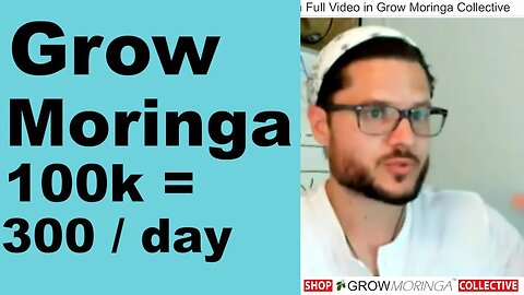 Make $300 a Day from Moringa Tree Industry Leaders in Sales & Marketing Learn How To Grow for Profit