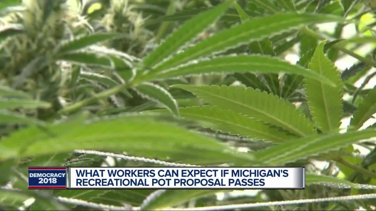 The impact of recreational marijuana in Michigan