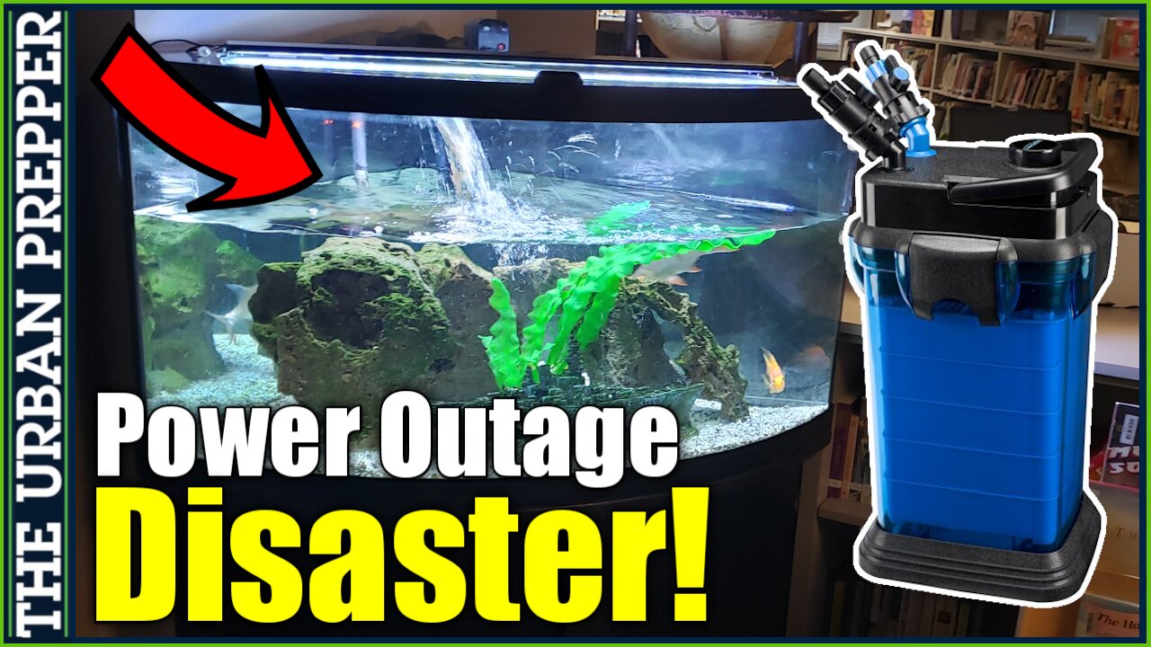 Aquarium Flooding Disaster Due To Power Outage | Stop The Siphoning!