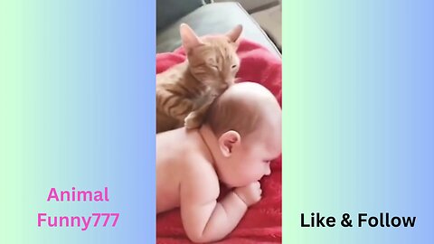 Cats and Babies Funny 😂 New Funny Cats Videos 😻🐶Animal Funny