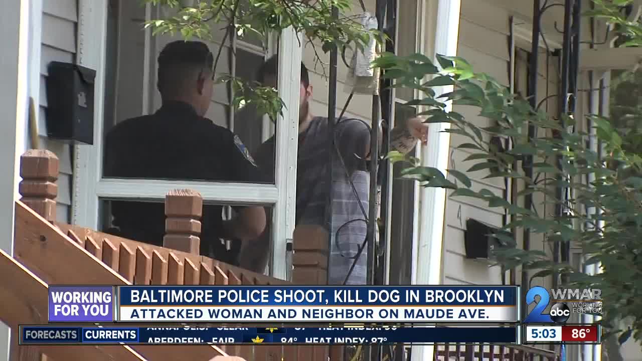 Baltimore Police shoot, kill dog in Brooklyn