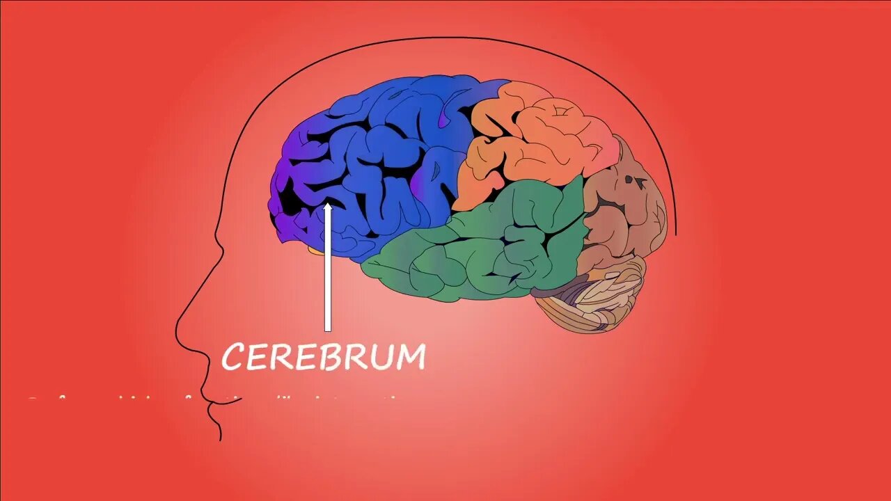 Theta Waves Primer: The Billionaire Brain Wave Explained