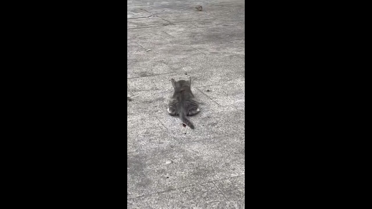 🤣