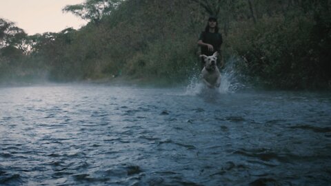 Dog and owner playing with a ball in a creek