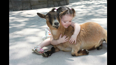 Watch cute kids and animals together