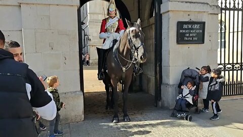 WTF #horseguardsparade
