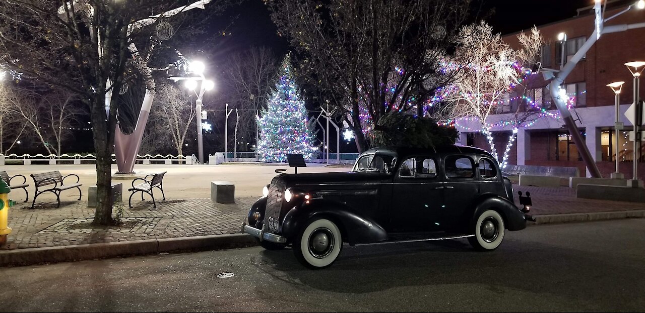 1936 Buick Model 60 Century. Getting our Christmas tree (5)