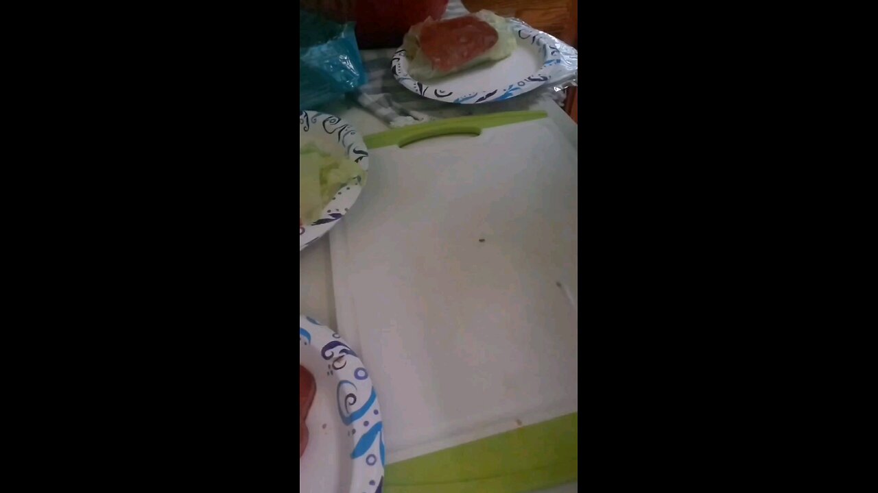Practicing making Spring Rolls