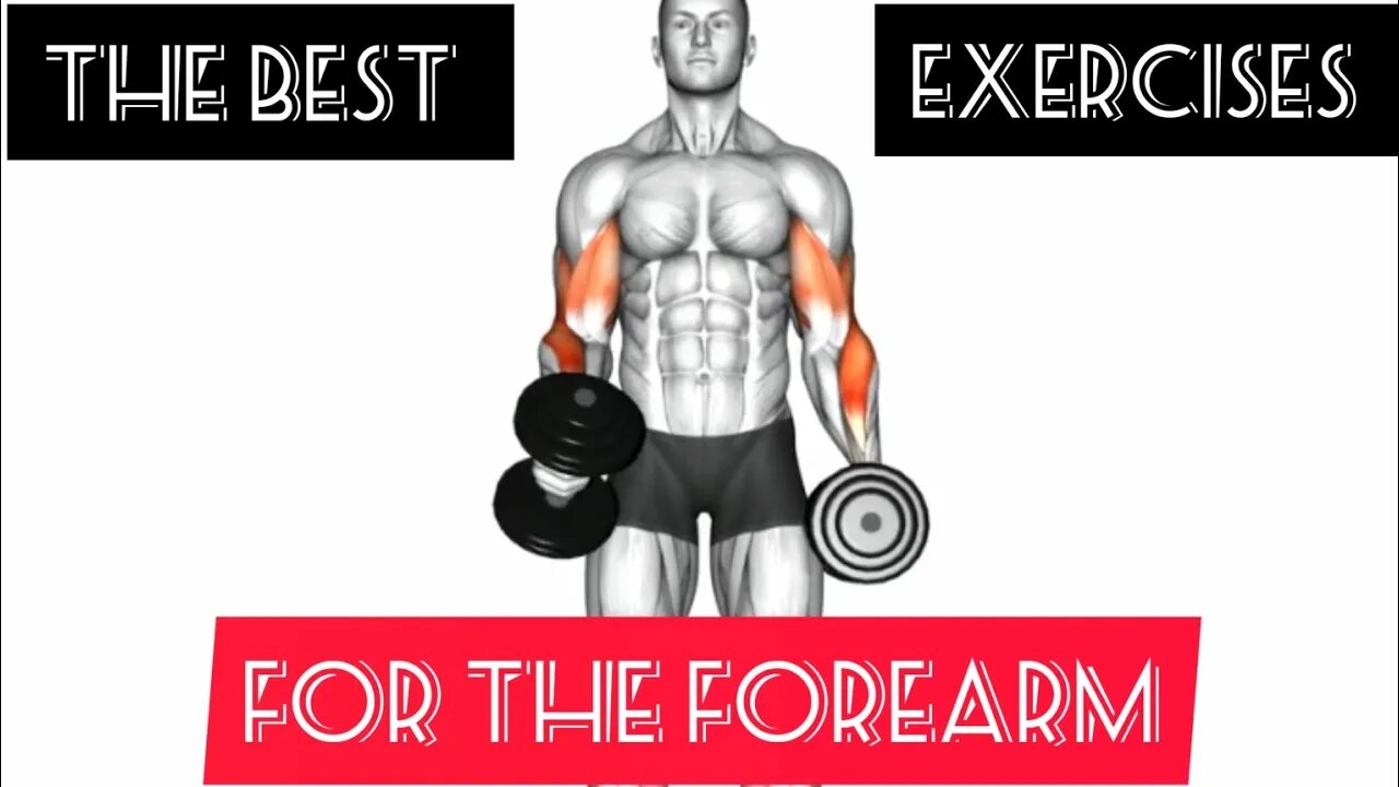 The best exercises for the forearm(6 exercise)