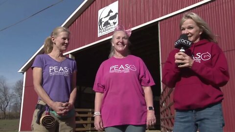 PEAS Open Barn Santa is coming to the farm PSA