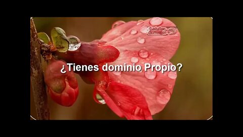 ¿ TIENES DOMINIO PROPIO ?