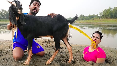 Must 😎 Watch New Special Comedy Video 2023 Totally Amazing Comedy Episode 03 Hc Kids