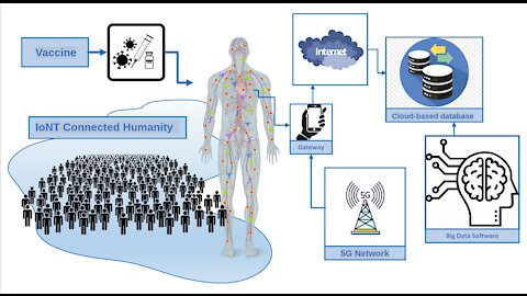 The Intra-corporal Nano-network