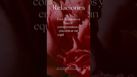 Consejos de Relaciones