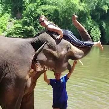 Elephant Tosses Girl Off Trunk