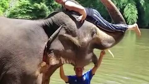 Elephant Tosses Girl Off Trunk