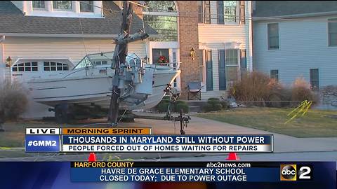 Wind wreaks havoc on trees and power lines