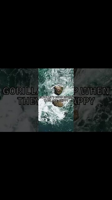 Incredible Random Facts That Will Expand Your Mind! [2023] #shorts #facts #viralshorts #fyp #life