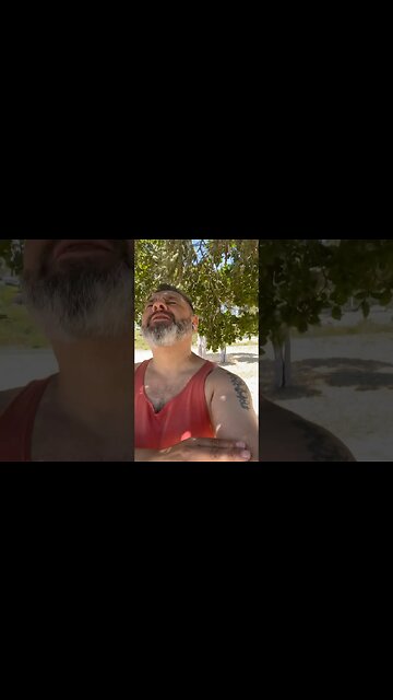 What do we call this Amico saga?