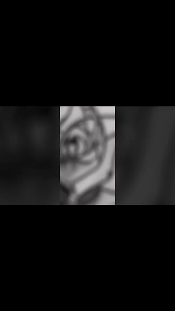 Are You Comfortable Using Mags?