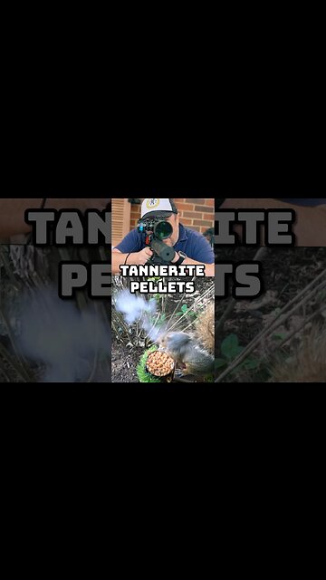 squirrel hunting with pellets that go BOOM #shorts