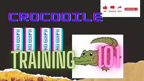 Save Crocodile from the teacher 👩‍🏫 videos 🐊🚷🚷👍@Animal Planet training gators 🐊👨‍🎓