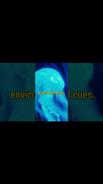 jellyfish are 95% water | Daily Dose Of Fact #shorts