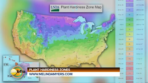 Melinda's Garden Moment - Plant hardy zones