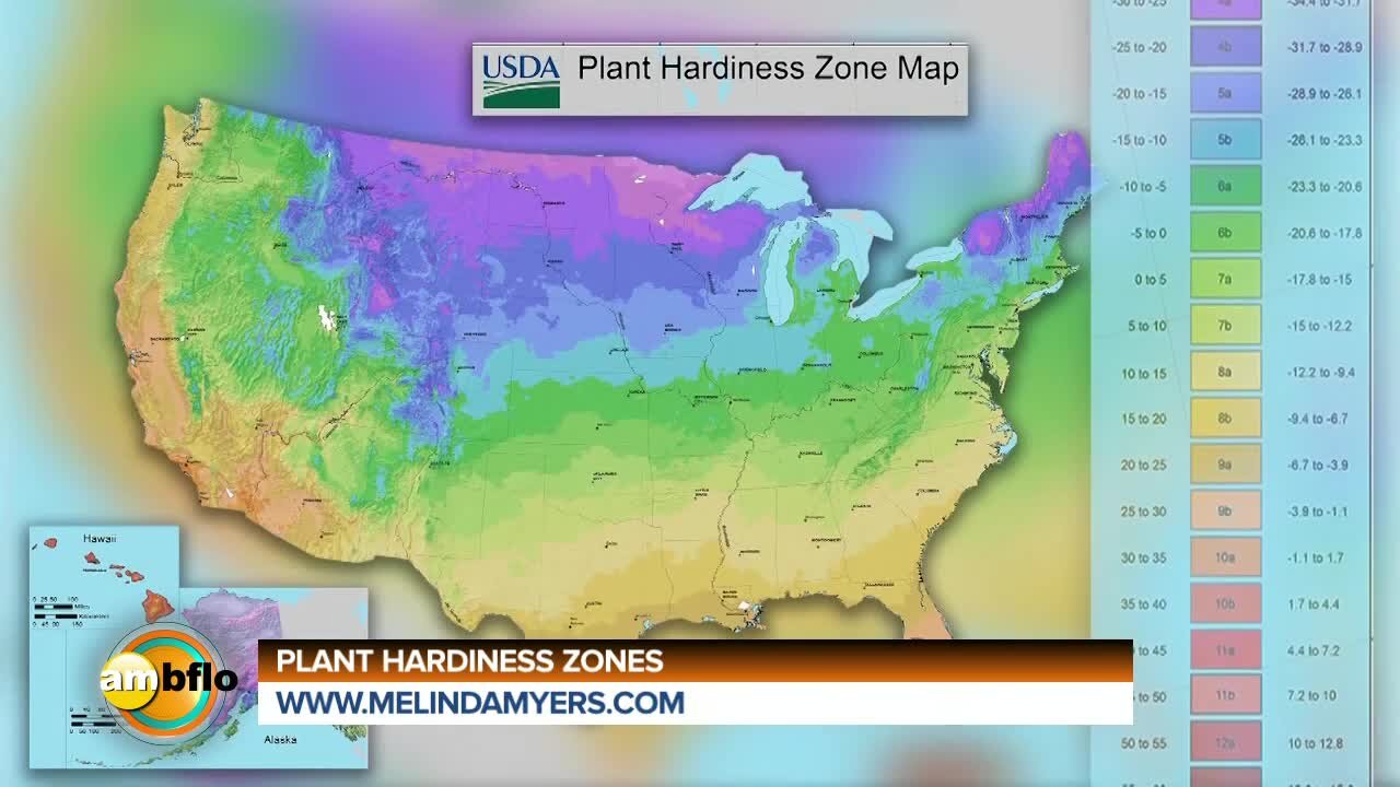 Melinda's Garden Moment - Plant hardy zones