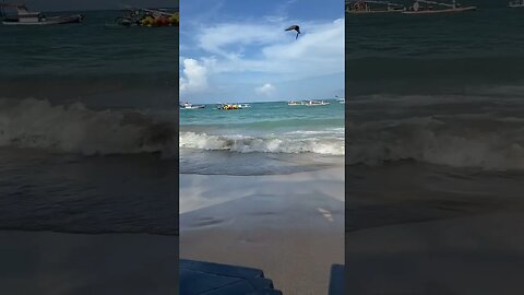 Comemos isso na praia de Porto de Galinhas! #shorts #curiosidades #comida 24 March 2023