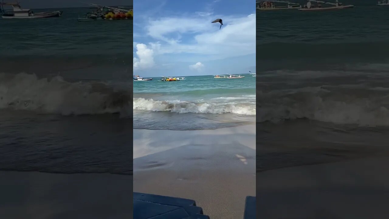 Comemos isso na praia de Porto de Galinhas! #shorts #curiosidades #comida 24 March 2023