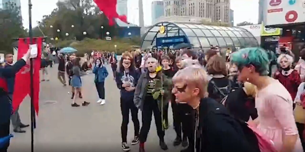 Poland: Young Catholics defend family values...LGBT activists started barking