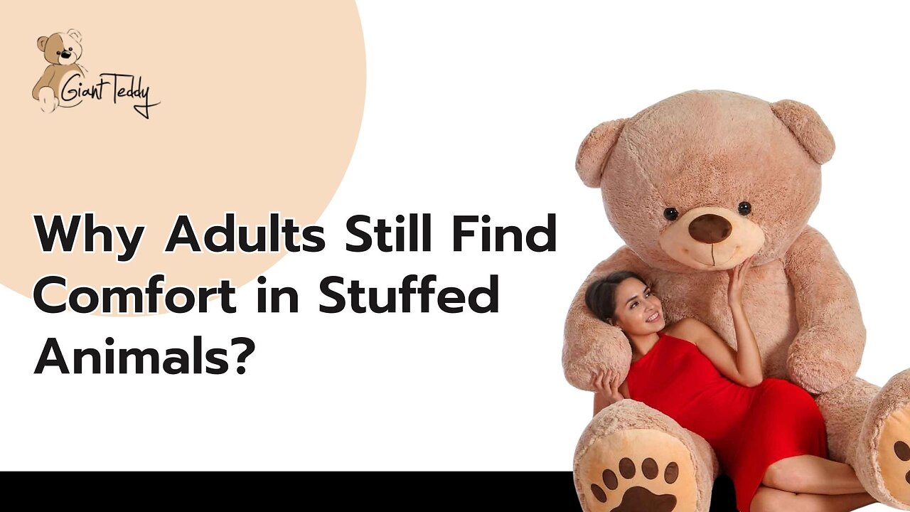 Why Adults Still Find Comfort in Stuffed Animals