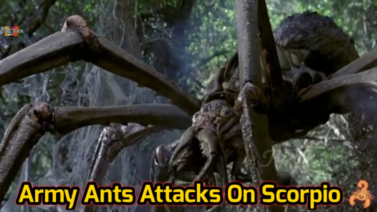 Army Ants aggressive movements