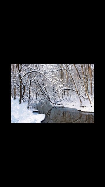 Good morning from Ontario Canada.