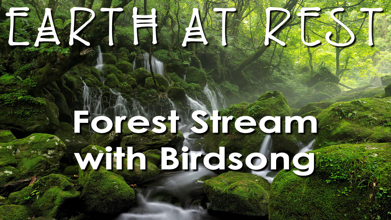 Nature Sounds for Sleep, Study, and Relaxation - Forest Stream with Birds