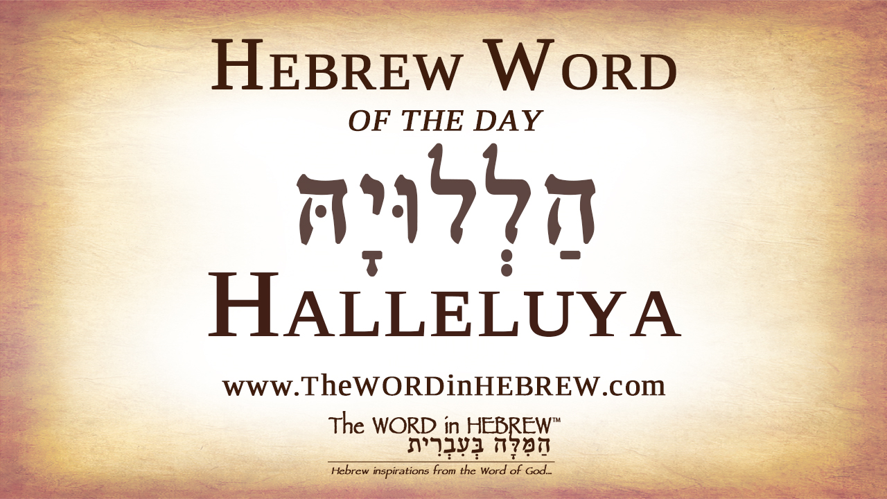 Halleluya in Hebrew - Hebrew Word of the Day