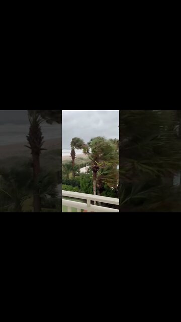 Tide receded but winds pick up fiercely! sand is blowing everywhere 💨 #ian #shorts