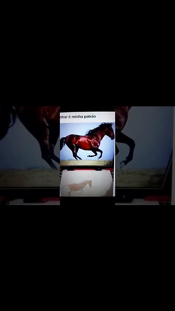 Desenhar é a minha paixão