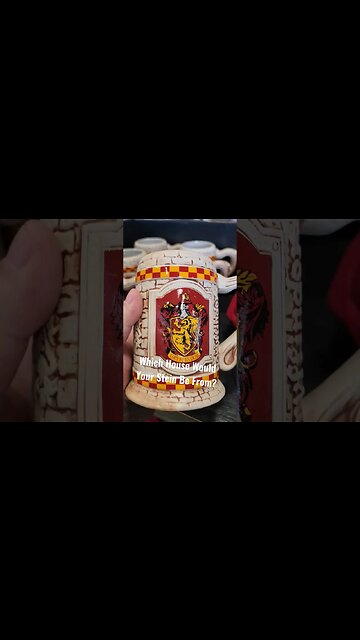 Which House Would Your Stein Be From?