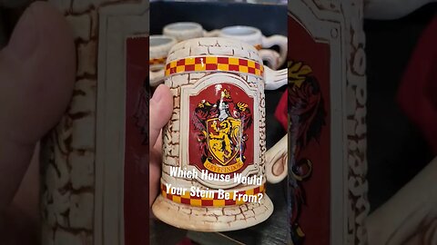 Which House Would Your Stein Be From?