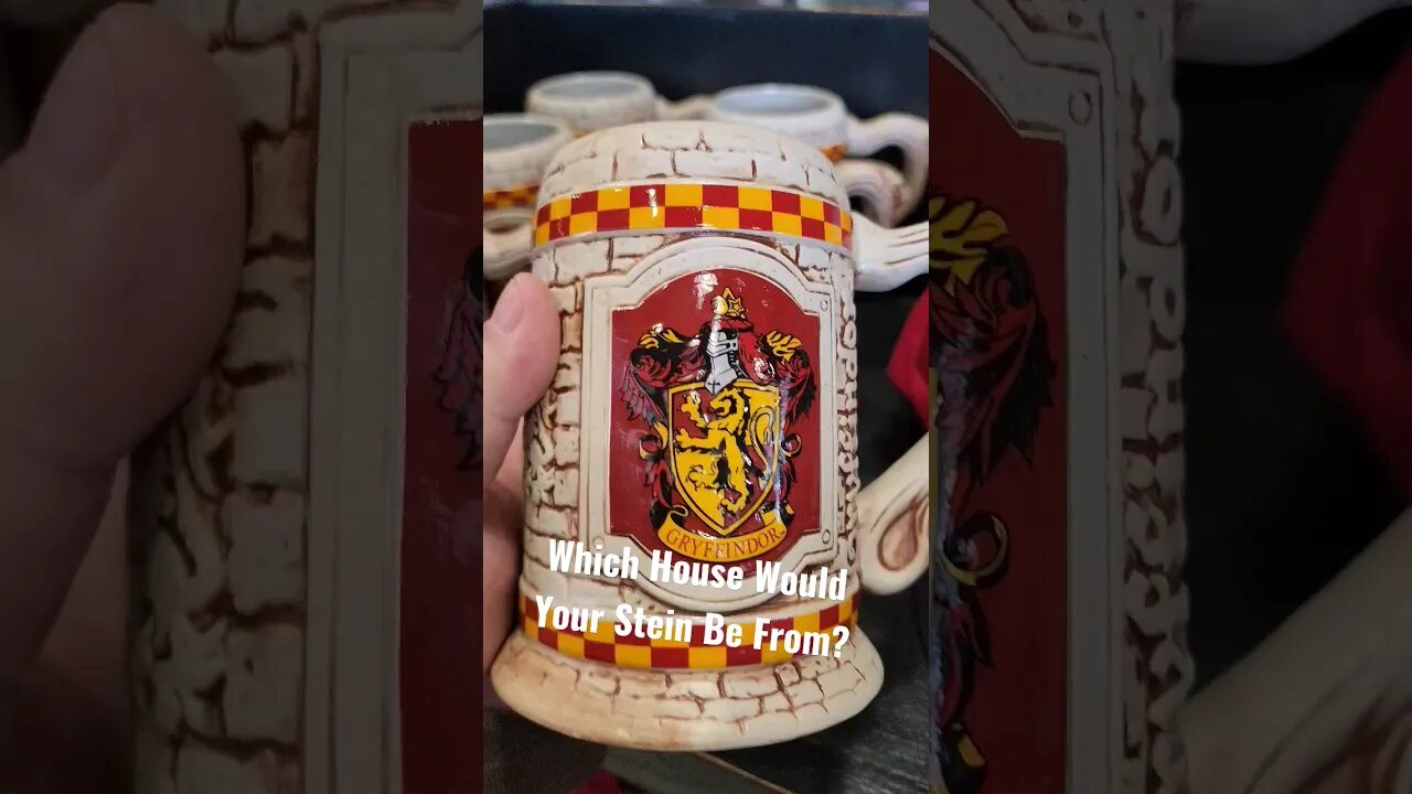 Which House Would Your Stein Be From?