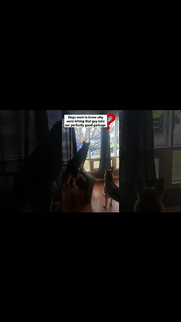 A Man's Trash Is A Dogs Treasure