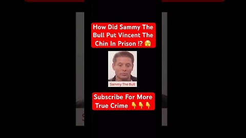 How Did Sammy The Bull Put Vincent The Chin In Prison !? 🫣 #mafia #sammythebull #vincentthechin