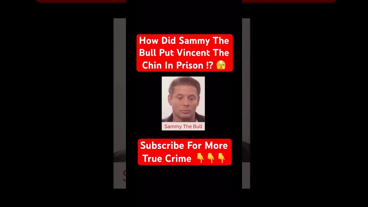 How Did Sammy The Bull Put Vincent The Chin In Prison !? 🫣 #mafia #sammythebull #vincentthechin