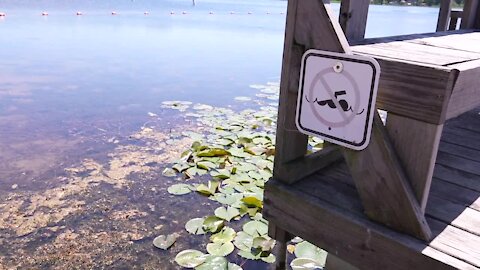 Some beaches in Michigan have even had to move their swimming area to another part of the water.